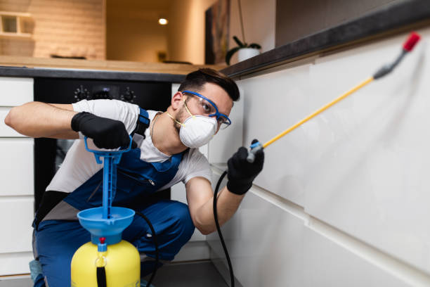 Reliable Cookson, OK Pest Control Solutions