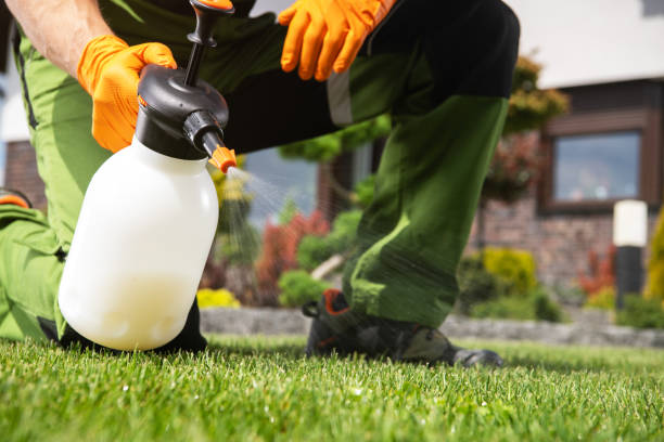 Best Commercial Pest Control Services  in Coson, OK