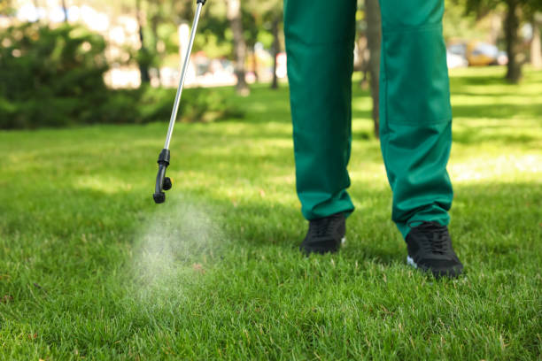 Best Residential Pest Control  in Coson, OK