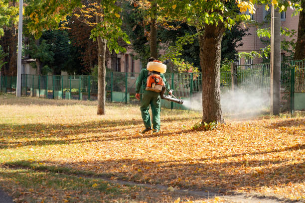 Best Insect Control  in Coson, OK