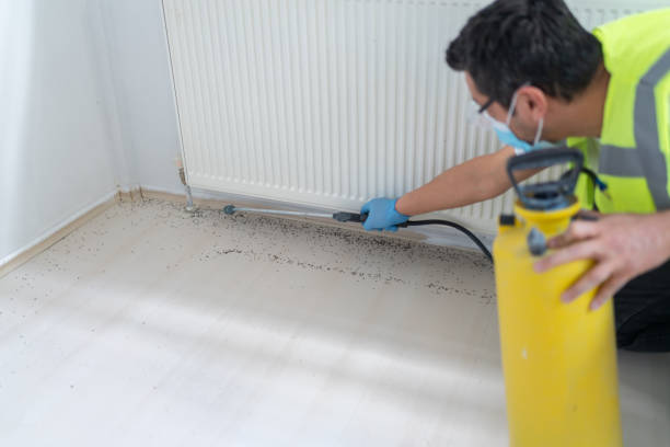 Best Exterminator Services  in Coson, OK